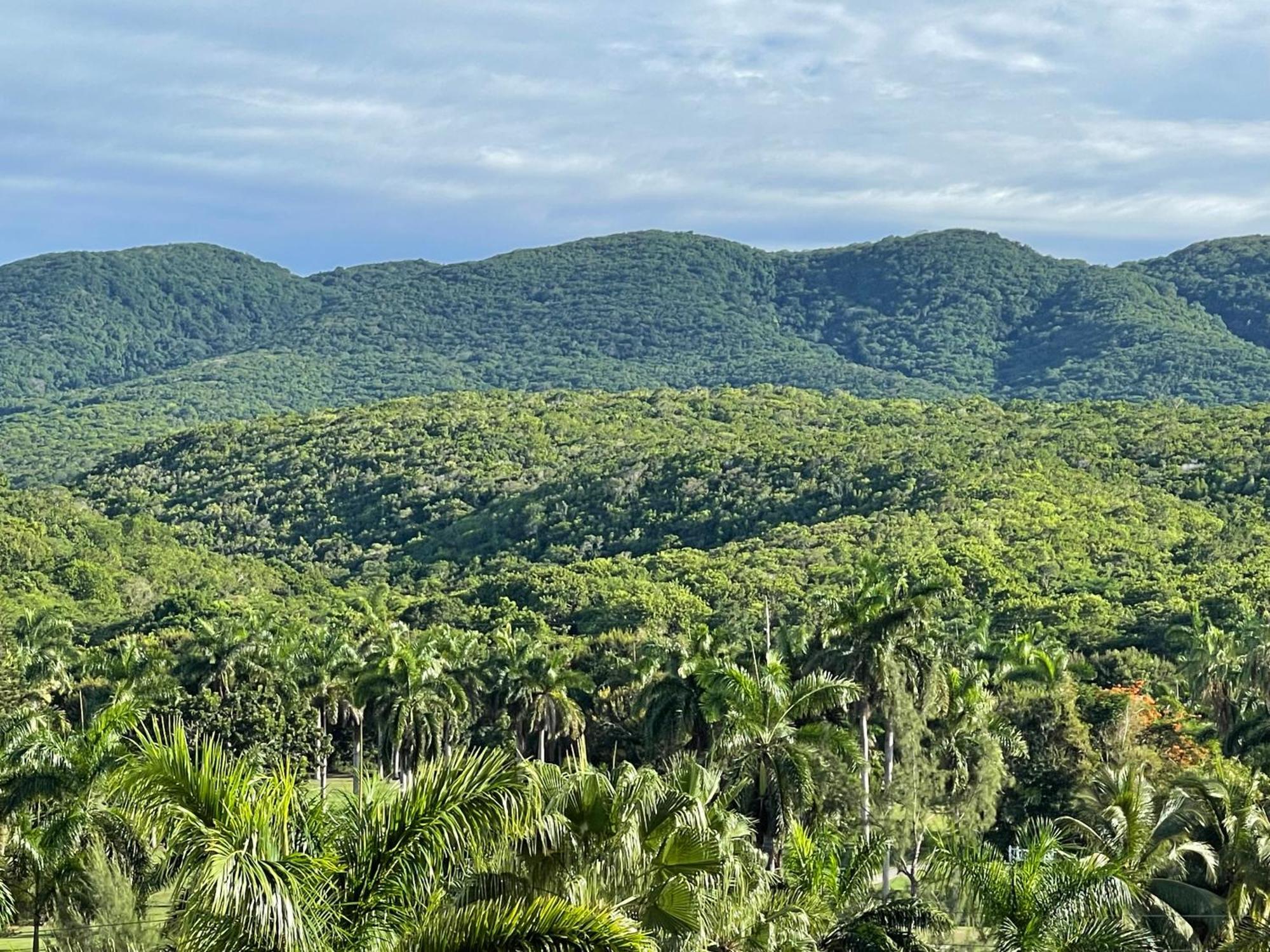 Marriott Seacastles E22, Montego Bay Aparthotel Eksteriør bilde